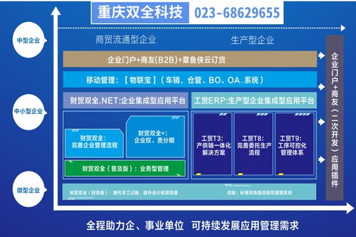 彭水生產(chǎn)型企業(yè)管理制度優(yōu)化與重慶管家婆軟件二次開發(fā)實(shí)踐